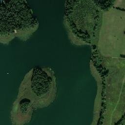 Satelita