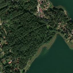 Satelita