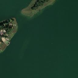 Satelita