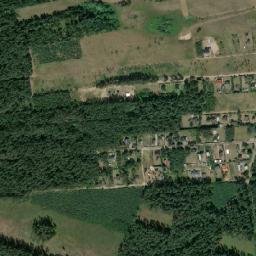 Satelita