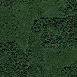 Lyudinovskiy Rayon map(satellite map)