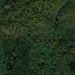 Duminichskiy Rayon map(satellite map)