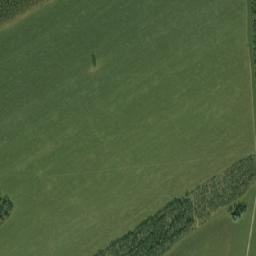 Zarinskiy Rayon map(satellite map)