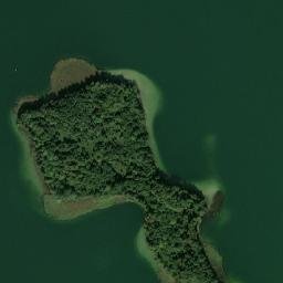 Satelita