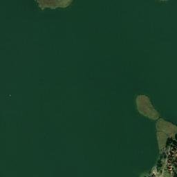 Satelita