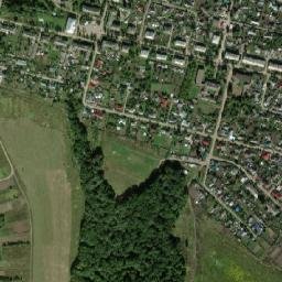 Priupskiy map(satellite map)