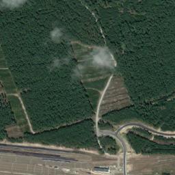 Satelita
