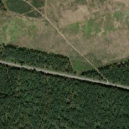 Satelita