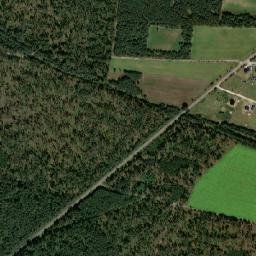 Satelita