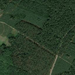 Satelita