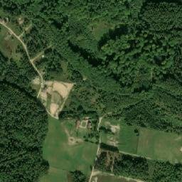 Satelita