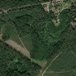 Satelita