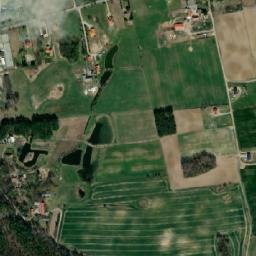 Satelita