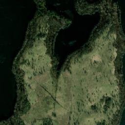 Satelita