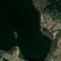 Satelita