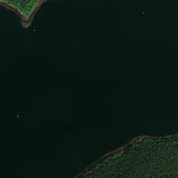 Satelita