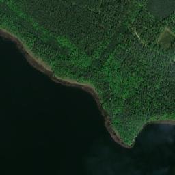 Satelita