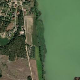 Satelita