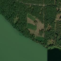 Satelita