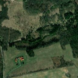 Satelita