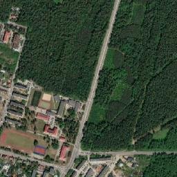 Satelita