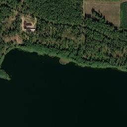Satelita