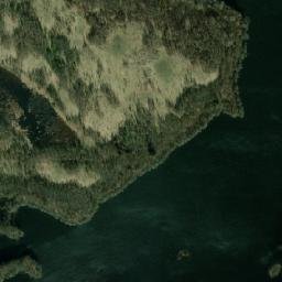 Satelita