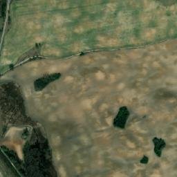Satelita