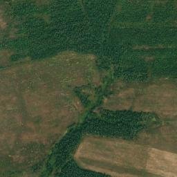 Rognedinskiy Rayon map(satellite map)