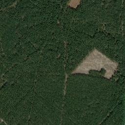 Satelita
