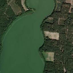 Satelita