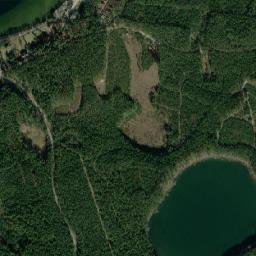Satelita