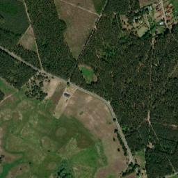 Satelita