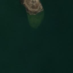Satelita