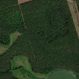 Satelita