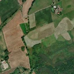 Satelita