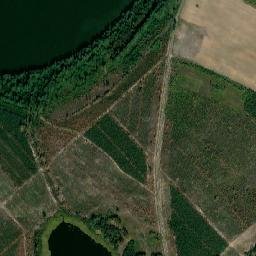 Powiat chojnicki map(satellite map)