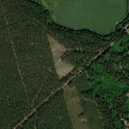 Satelita