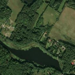Satelita