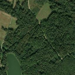 Satelita