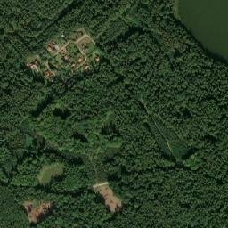 Satelita