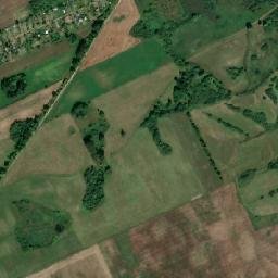 Satelita