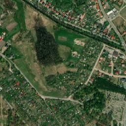 Satelita