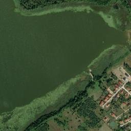 Satelita