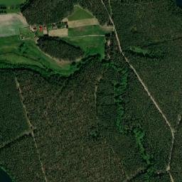 Satelita