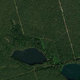 Satelita