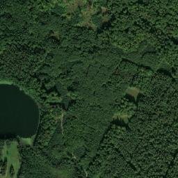 Satelita