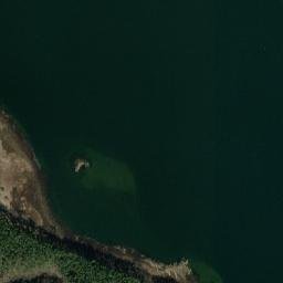 Satelita