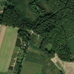 Satelita