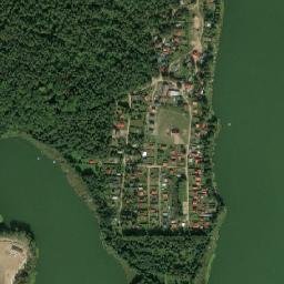 Satelita